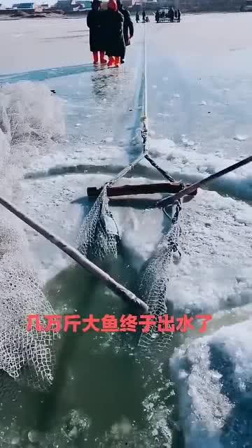 水库大鱼爆料视频播放,视频播放引发热议！  第1张