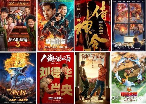 电影过年在线观看,家庭团聚，共度佳节  第1张